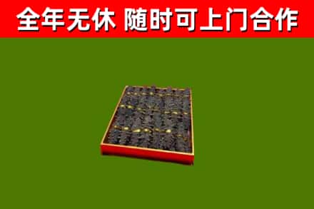 武川回收海参